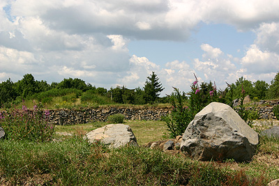 Basaltsteine im Rhnkulturgarten