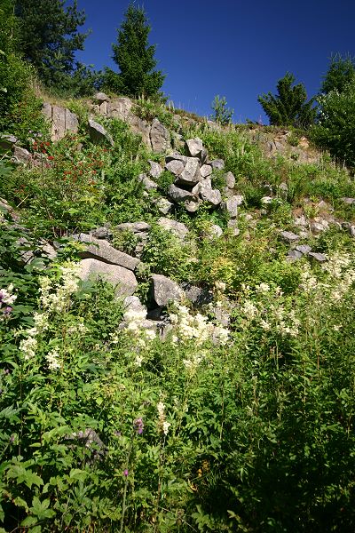 Stehende Basaltsulen (oben)