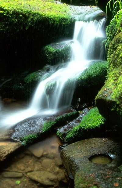 Diesbach - wilde Wasser ber groe Steine