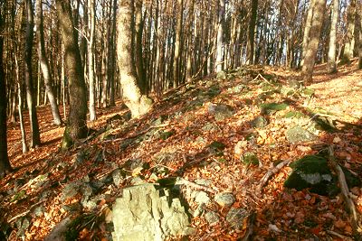 Keltische Wallanlage auf dem Gangolfsberg bei Oberelsbach