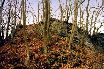 Die Ruine Hildenburg