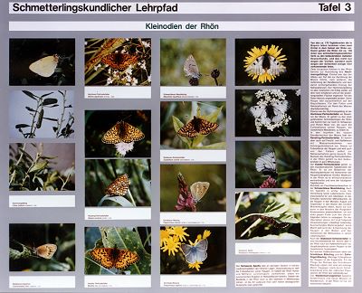 Schmetterlingslehrpfad im Hartwald bei Oberelsbach