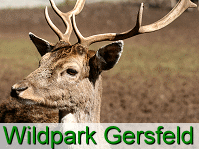 Wildpark Gersfeld